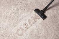 Carpet Cleaning Mordialloc image 1